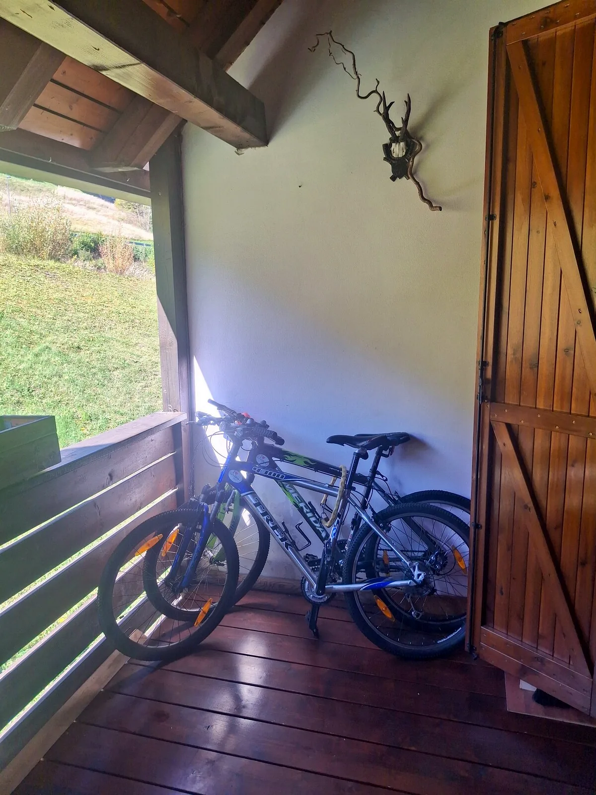 Le biciclette di casa