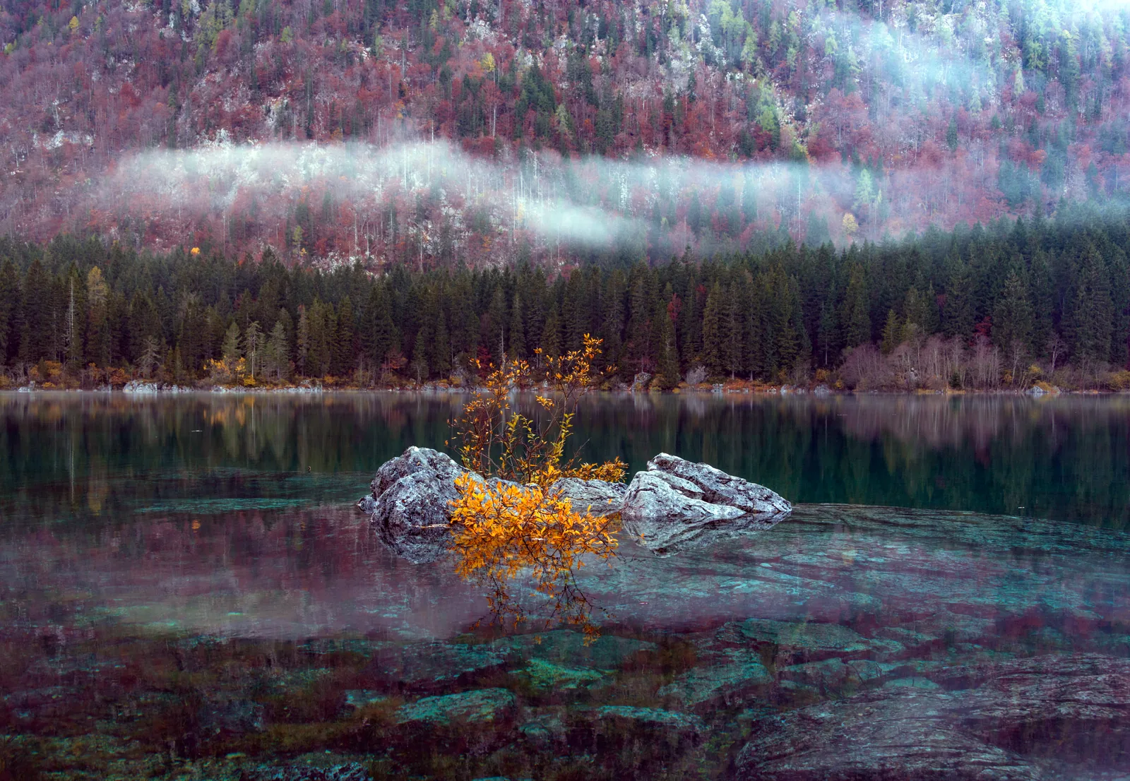 Laghi di Fusine, Tarvisio (4)