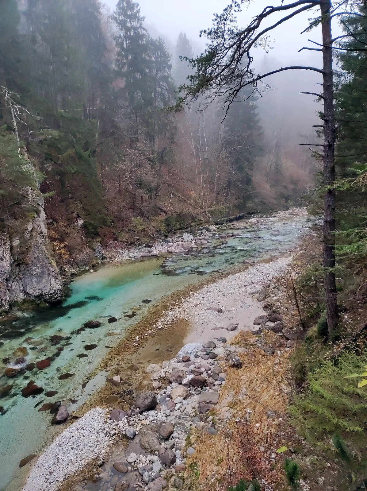 Orrido dello Slizza, Tarvisio (3)