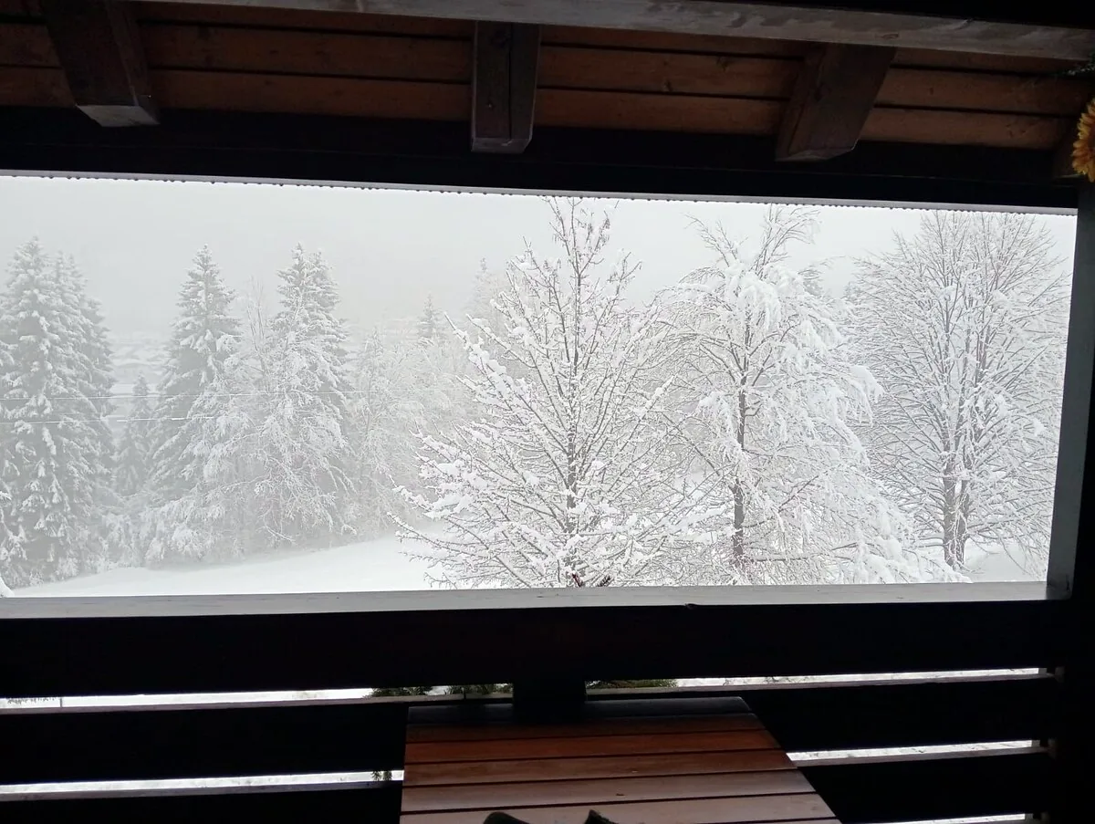 La neve sugli abeti vista dalla finestra